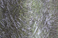 Rimington fibreglass roof work